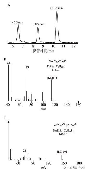 大蒜油研究新突破：氣相色譜質譜聯用分析揭示其特殊成分！